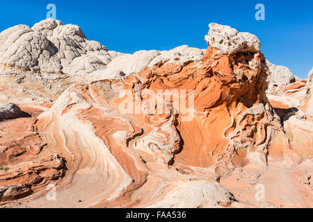 Ein flüssiges Gestein natürliche Skulptur des Poseidon in die einzigartige und remote White Pocket Felsformationen in Vermillion Cliffs National Monument Stockfoto