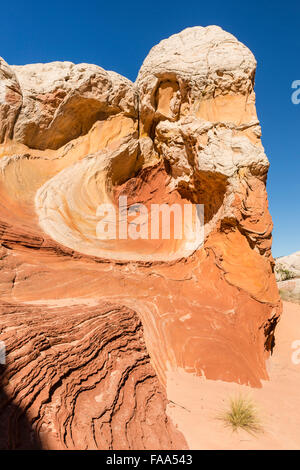 Eine Felsformation sieht aus wie der Kopf des Mose in die einzigartige und remote White Pocket Felsformationen in Vermillion Cliffs Nationa Stockfoto