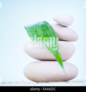 Schönes Stillleben von Spa Steinen über blauen Himmelshintergrund, Tautropfen auf frische grüne Blätter, Zen Balance, Ruhe und Harmonie Stockfoto