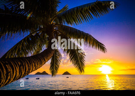 Schöne goldene Stunde Farben von Hawaii Stockfoto