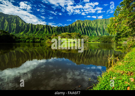 Koalau Berge hinter Ho'omaluhia botanischen Garten auf der Insel Oahu in Hawaii Stockfoto