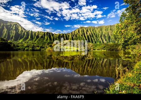 Koalau Berge hinter Ho'omaluhia botanischen Garten auf der Insel Oahu in Hawaii Stockfoto