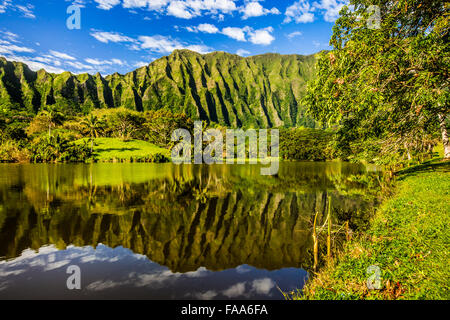 Koalau Berge hinter Ho'omaluhia botanischen Garten auf der Insel Oahu in Hawaii Stockfoto