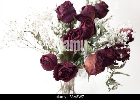 Bouquet von getrockneten Rosen auf weißem Hintergrund Stockfoto