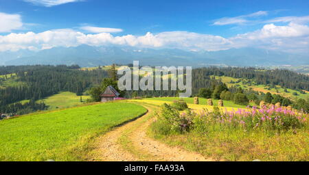 Landstraße, Frühlingslandschaft, Region Podhale, Polen Stockfoto