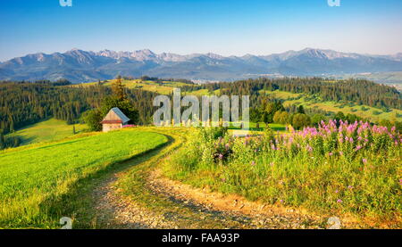 Landstraße, Frühlingslandschaft in Podhale Region, Polen Stockfoto