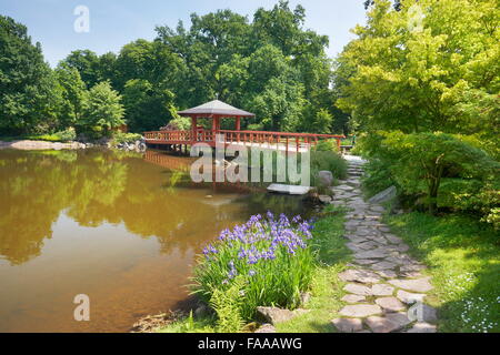 Wroclaw - japanischer Garten im Szczytnicki Park, Polen Stockfoto