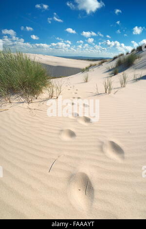 Leba - Moving Dünen im Slowinski Nationalpark, Pommern, Polen Stockfoto