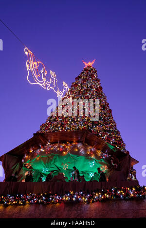 Ein vollständig dekorierter Weihnachtsbaum im christlichen Viertel Altstadt Ost-Jerusalem Israel Stockfoto