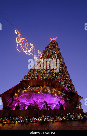 Ein vollständig dekorierter Weihnachtsbaum im christlichen Viertel Altstadt Ost-Jerusalem Israel Stockfoto