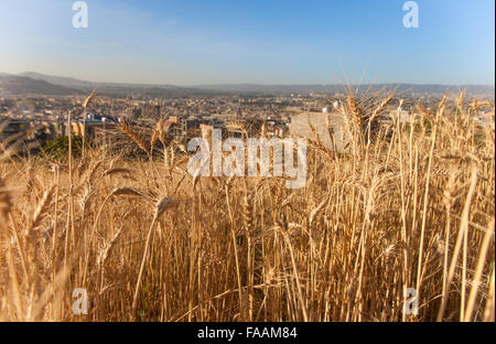 Äthiopien, Addas Abeba, Dezember 6,2013. Blick auf die Stadt in Äthiopien, Addis Abeba, Dezember 6,2013. Stockfoto