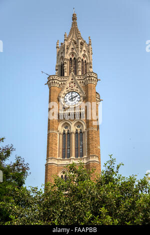 Rajabai Clock Tower in Mumbai, Indien Stockfoto