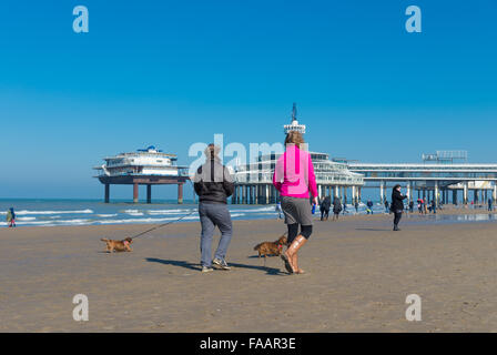 SCHEVENINGEN, Niederlande - 8. März 2015: Unbekannte Menschen lassen ihre Hunde aus einem sonnigen Frühlingstag am Nordseestrand. In t Stockfoto