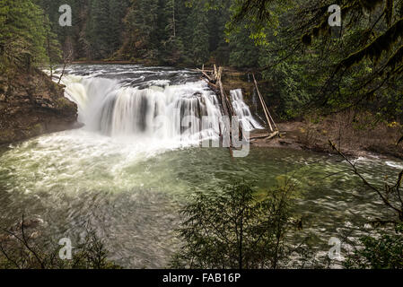 Lower Lewis River Falls im US-Bundesstaat Washington. Stockfoto