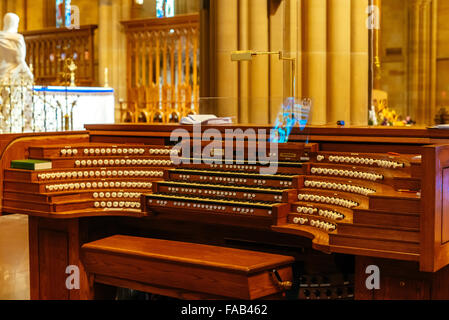 Innenraum St. Marys Cathedral Sydney New South Wales Australien. Externe Tastatur - Orgel. Stockfoto