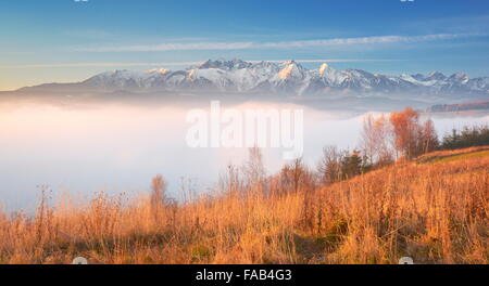 Tatra-Gebirge - Blick vom Czorsztyn, Pieniny Region, Polen Stockfoto