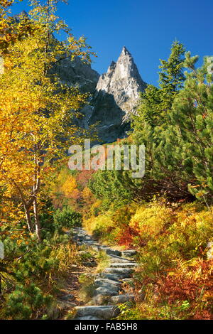 Nationalpark Tatra, Polen Stockfoto