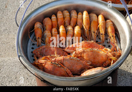 Große Riesengarnelen und Kleine Krabben im Freien durch ein Lebensmittel Anbieter in Pattaya Thailand gekocht Stockfoto