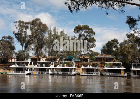 Teil der größten Flotte von Hausbooten auf dem Murray River in der Nähe von Tindarra Resort Moama Victoria Australien Stockfoto