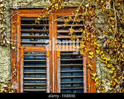 Rustikale Fenster und Reben in Stadt von Kaltern in Süditalien Stockfoto