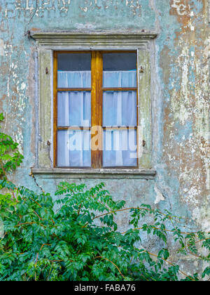 Rustikale Fenster und Reben in Stadt von Kaltern in Norditalien Stockfoto