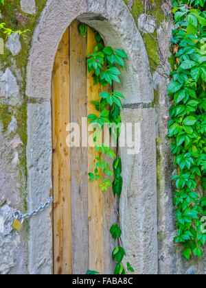 Rustikale Türen und Reben in Stadt von Kaltern in Norditalien Stockfoto