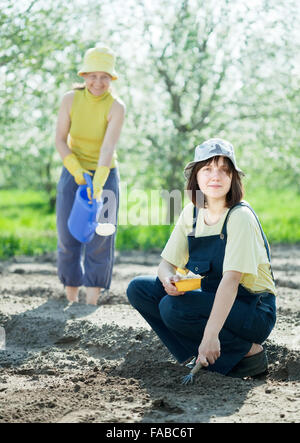 Zwei Frauen sät Samen im Boden im Garten Stockfoto