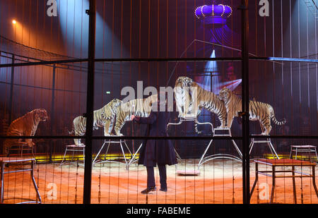 München, Deutschland. 25. Dezember 2015. Tamer Redy Montico mit seinen Tigern Durchführung bei der Premiere von der Winter-Programm des Circus Krone in München, Deutschland, 25. Dezember 2015. Foto: TOBIAS HASE/DPA/Alamy Live-Nachrichten Stockfoto