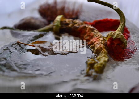 Gefrorene Paprika Kastanien Blatt in schmelzendem Eis Stockfoto