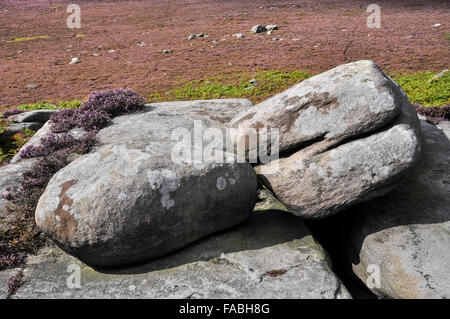 Gritstone Felsen auf über Owler Tor im Peak DIstrict, Derbyshire. Beliebte Landschaft mit Wanderer. Stockfoto