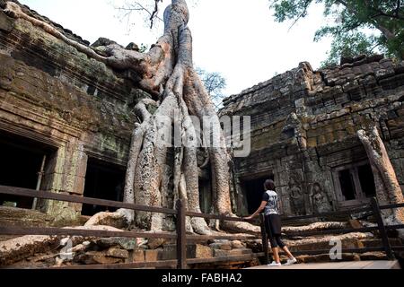 U.S. First Lady Michelle Obama sieht den Ta Phrom Tempel während einer Tour durch Angkor 21. März 2015 in Provinz Siem Reap, Kambodscha. Stockfoto