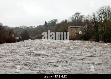 Teesdale, River Tees, Barnard Castle, County Durham, 26. Dezember 2015. Großbritannien Wetter.  Der River Tees fließt unter der Grafschaft-Brücke in Barnard Castle nach Starkregen über Nacht viele Flüsse im Norden Englands auf Flut Ebene verlassen. Stockfoto