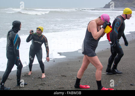 Aberystwyth, Ceredigion, West Wales, UK - Boxing Day 26. Dezember 2015. Mitglieder der schwimmen, Fahrrad, laufen Facebook Gruppe bei ihrer jährlichen Boxing Day schwimmen. Seegang, der beste Weg, um die Weihnachts-Kalorien verlieren Credit: Trebuchet Fotografie/Alamy Live News Stockfoto