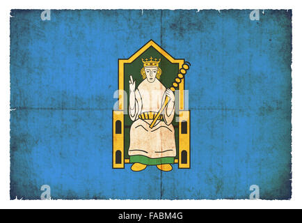 Flagge der irischen Provinz Leinster im Grunge-Stil erstellt Stockfoto