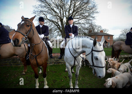 Umgeben von Hunden jagen Teilnehmer des Chats Chiddingfold Leconfield und Cowdray Jagd auf Pferd zurück vor dem Start der traditionellen Boxing Day in Petworth Park Petworth, West Sussex, England. Stockfoto