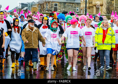 Prestwick, Ayrshire, Großbritannien. 26. Dezember 2015. Hunderte von Schwimmern trotzten Wintertemperaturen und Starkregen an der 10. jährlichen "Boxing Day Dip" zur Unterstützung der Kinder-Charity "Clic Sargent" teilnehmen. In diesem Jahr die "Dip" widmete sich Ross Granger, im Alter von 12, von Prestwick mit Nierenkrebs geboren wurde und jetzt feiert 10 Jahre in Remission. Seine Mutter Eileen, widmet ihr Leben unterstützen Clic Sargent und erhielt für ihre Verdienste um die Nächstenliebe MBE. Bildnachweis: Findlay/Alamy Live-Nachrichten Stockfoto