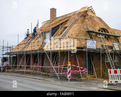 Thatchers bei der Arbeit wiederherstellen das Strohdach eines alten Bauernhauses. Stockfoto