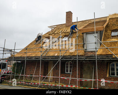 Thatchers bei der Arbeit wiederherstellen das Strohdach eines alten Bauernhauses. Stockfoto