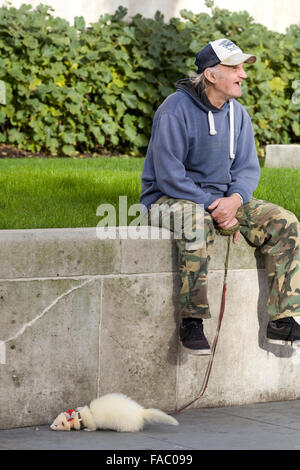 Mann sitzt auf einer Mauer mit seinem Haustier Frettchen an der Leine Stockfoto