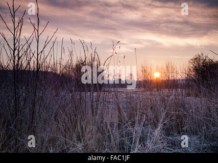 Magischen Sonnenaufgang Licht über mattierte winterliche Landschaft Szene Stockfoto