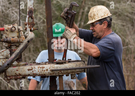 Ölarbeiter Waschbecken Rohre mit Hilfe einer Derrick für Rohöl in Evangeline, Louisiana zu bohren. Die Ölfelder wurden die ersten Brunnen in Louisiana. Stockfoto