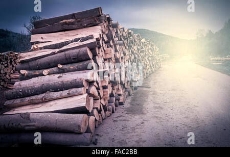 Hölzerne Maschinenbordbücher durch die Straße für den Transport vorbereitet Stockfoto