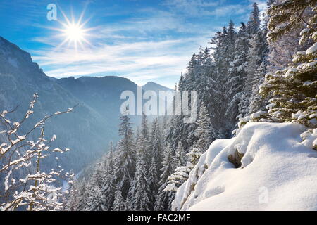 Winter Schnee Landschaft, Tatra-Gebirge, Polen Stockfoto