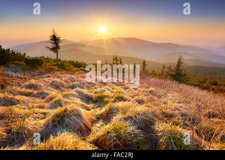 Beskiden, Sonnenuntergang an der Pilsko Peak, Polen Stockfoto