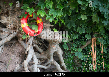 Rettungsring am Baum, Dunmore East Stockfoto