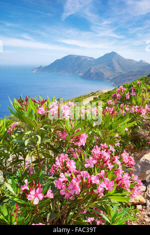 Kos - Dodekanes-Inseln, Griechenland, Blick auf das Kap Krikello Stockfoto