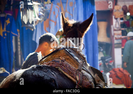 Pferd gezeichneten Wagen in einem Souk - Marrakech, Marokko Stockfoto