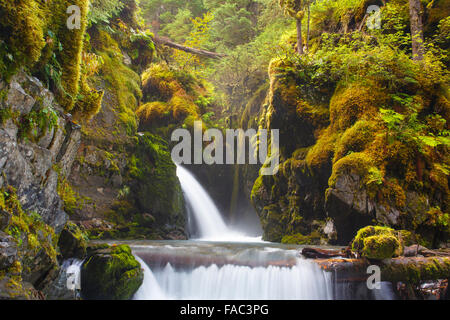 Wasserfall im Regenwald, Chugach National Forest, Girdwood, Alaska. Stockfoto