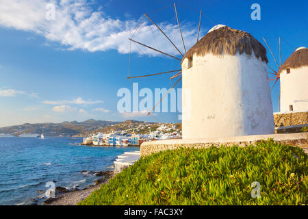 Mykonos-Landschaft mit einer Windmühle, Insel Mykonos, Kykladen, Griechenland Stockfoto