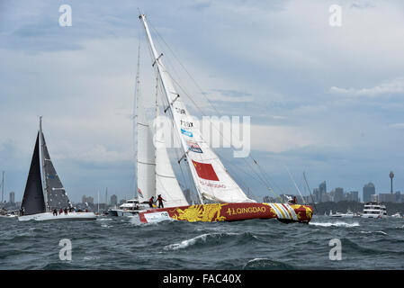 Sydney, Australien. 26. Dezember 2015. Rolex Sydney-Hobart-Regatta 2015. Der Rest der Flotte Köpfe heraus zum Meer beim Start des Rennens 629 nautische Meile von Sydney-Hobart-Regatta im Hafen von Sydney. Qingdao aus Großbritannien geben Sie Clipper 70. © Aktion Plus Sport/Alamy Live-Nachrichten Stockfoto